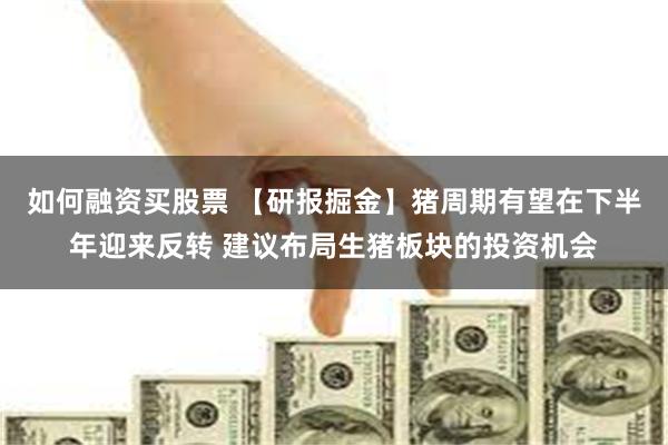 如何融资买股票 【研报掘金】猪周期有望在下半年迎来反转 建议布局生猪板块的投资机会