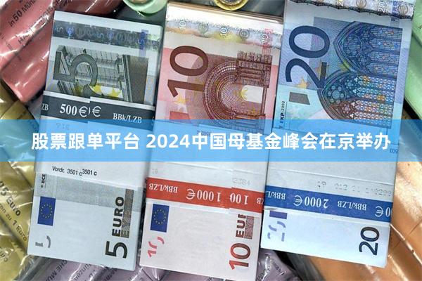 股票跟单平台 2024中国母基金峰会在京举办