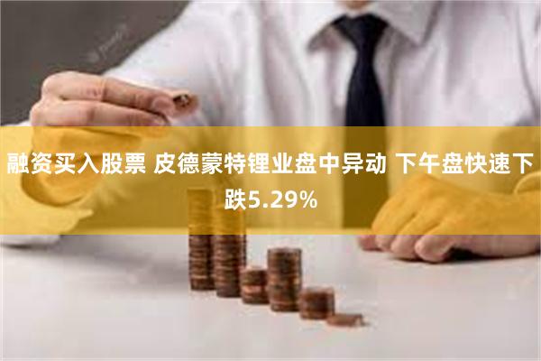 融资买入股票 皮德蒙特锂业盘中异动 下午盘快速下跌5.29%