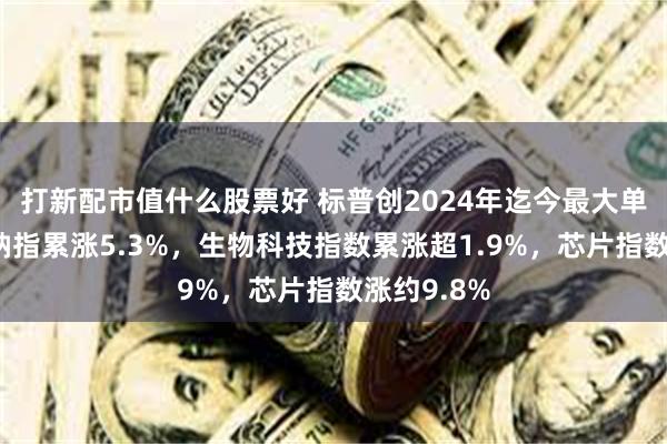 打新配市值什么股票好 标普创2024年迄今最大单周涨幅，纳指累涨5.3%，生物科技指数累涨超1.9%，芯片指数涨约9.8%