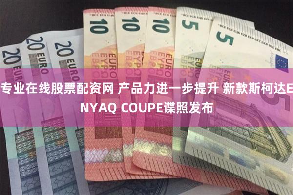 专业在线股票配资网 产品力进一步提升 新款斯柯达ENYAQ COUPE谍照发布