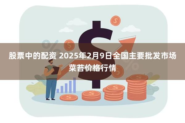 股票中的配资 2025年2月9日全国主要批发市场菜苔价格行情