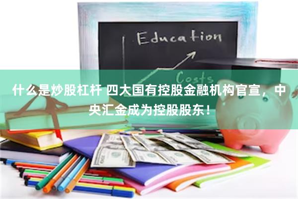 什么是炒股杠杆 四大国有控股金融机构官宣，中央汇金成为控股股东！