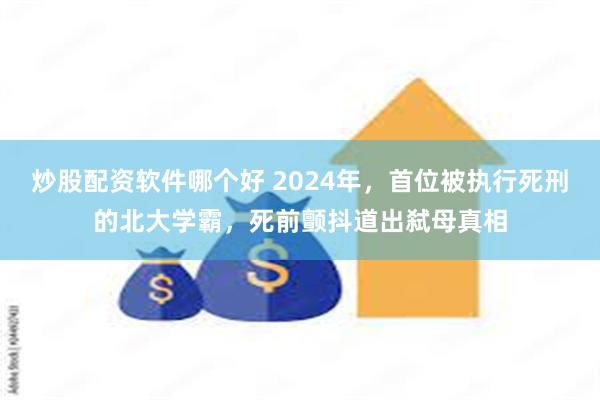 炒股配资软件哪个好 2024年，首位被执行死刑的北大学霸，死前颤抖道出弑母真相