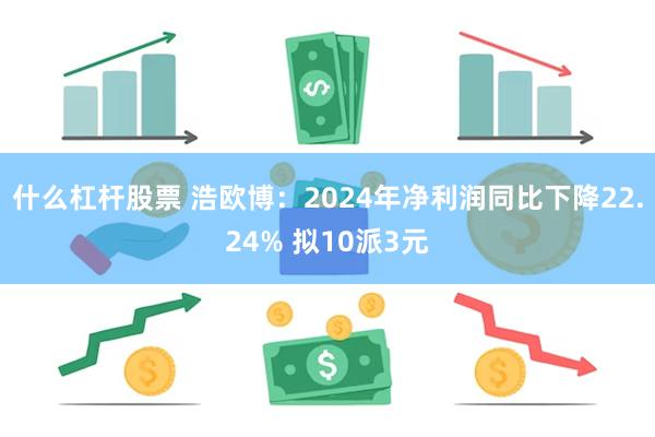 什么杠杆股票 浩欧博：2024年净利润同比下降22.24% 拟10派3元